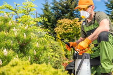 Kafkas Adamlar Biyoaktif Sıvı Spreyle Arka Bahçe Bitkileri 'ni öldürüyorlar. Bahçe Teması.