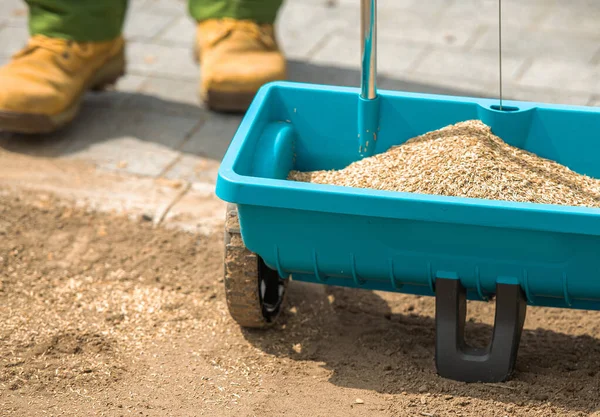 Grass Seeding Spreader Full Premium Grass Seeds Close Gardening Landscaping — Stock Photo, Image