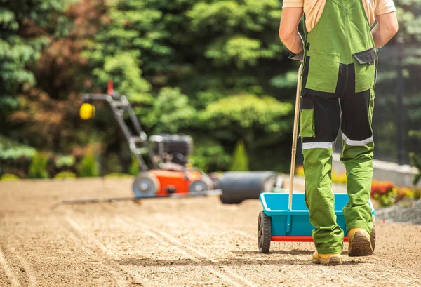 Verteilung Von Grassamen Hinterhofgarten Mit Manuellem Streugerät Thema Gartenarbeit — Stockfoto