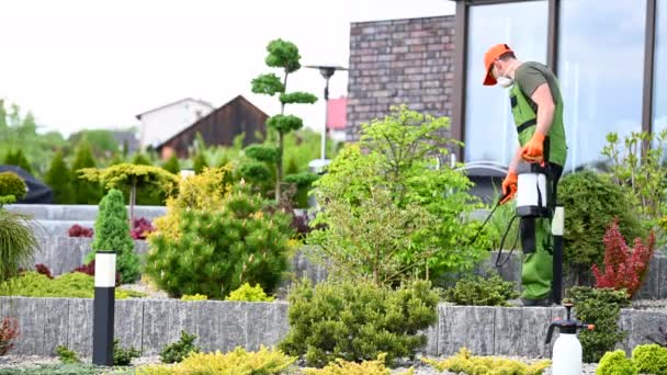 Κηπουρός Στα Του Επαγγελματικό Εντομοκτόνο Εξοπλισμό Κήπου Ψεκάζει Φυτά Και — Αρχείο Βίντεο