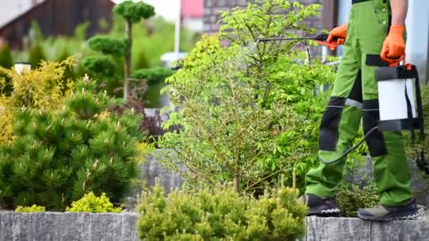 Gärtner Insektizid Job Kaukasischer Gartenarbeiter Mit Sprühgerät — Stockvideo