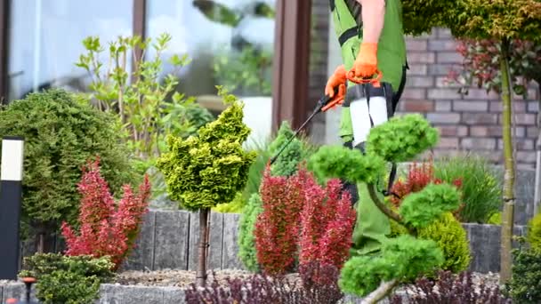 庭の殺虫剤の仕事 バイオアクティブ液体スプレーを使用して植物と戦う白人園芸労働者 — ストック動画
