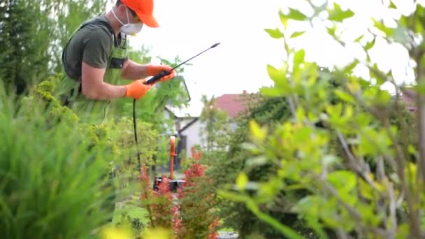 白种人园艺师及专业园艺设备喷洒树木 — 图库视频影像