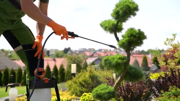 40代の白人園芸家で裏庭の植物を殺菌 殺菌する 庭と造園のテーマ — ストック動画