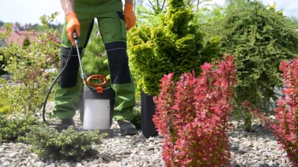 Jardinero Sus Con Insecticida Profesional Equipo Jardín Pulverización Árboles Decorativos — Vídeos de Stock