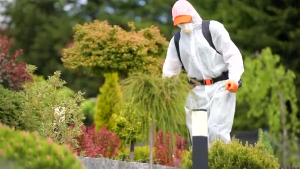 Tema Agricoltura Insetticida Stagionale Lavoro Operaio Del Giardino Caucasico Con — Video Stock