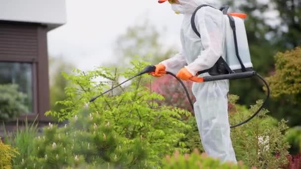 Tuin Planten Seizoensgebonden Insecticide Door Blanke Professionele Tuinman — Stockvideo