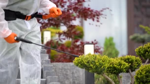 Control Plagas Trabajador Masculino Pulverización Insectos Matanza Productos Químicos Árbol — Vídeos de Stock