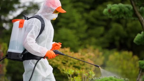 Jardineiro Vestindo Equipamento Proteção Insecticida Pear Tree Dentro Seu Jardim — Vídeo de Stock