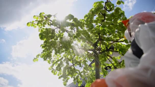 春季维修过程中的园艺植物杀菌剂和杀虫剂 园艺和景观主题 — 图库视频影像