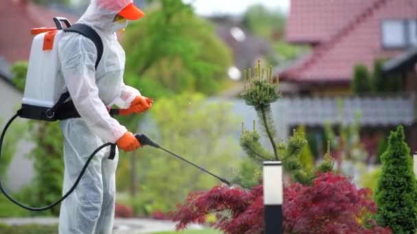 Caucasian Professional Gardener His 40S Wearing Safety Uniform Spraying Weeds — Stock Video