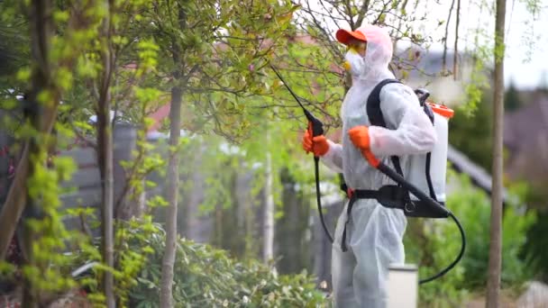 Bahçesinde Koruyucu Ekipman Giyen Bahçıvan Böcek Öldüren Armut Ağacı Haşere — Stok video