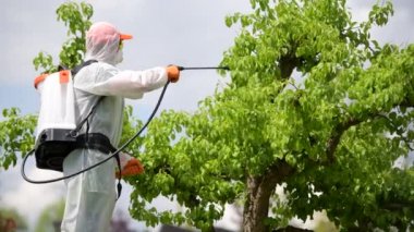 Bahçe Bitkileri Mantar İlacı ve Böcek İlacı İlkbahar Bakımı sırasında. Bahçe ve Peyzaj TemasıName.