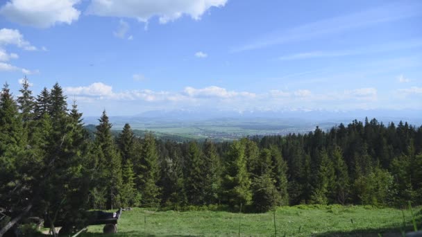 Nowy Targ Podhale Lesser Poland Summer Time Scenic Panorama — Vídeo de stock