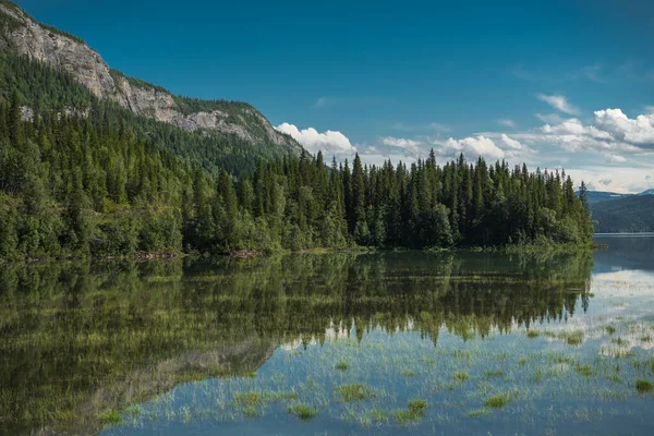 Yaz Zamanı Göl Yansımaları. Nordland County Saltfjellet Svartisen Ulusal Parkı 'ndaki Rocky Peaks and Forest. Güneşli Bulutlu Gün.