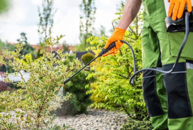 Kafkas Bahçıvanı Bahçe Planlı Bahar Zamanı Böcek Öldürme ve Mantar Öldürme İşi. Bahçe ve Peyzaj TemasıName.