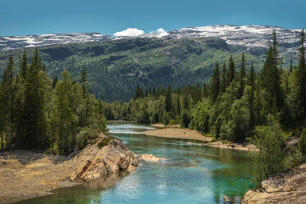 Paysage Estival Pittoresque Avec Rivière Montagnes Territoire Nordland Norvège Parc — Photo