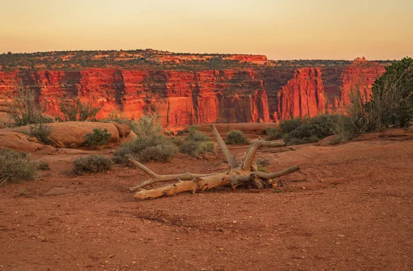 Dramatic Utah Desert Landscape Scenery Sunset Dead Branch Sand Reddish — Stock Photo, Image