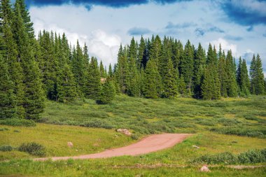 Backcountry Forest Road clipart