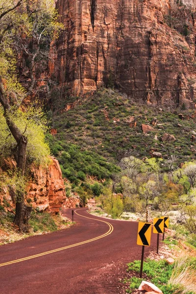 Utah Zion Estrada Cênica — Fotografia de Stock