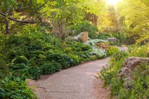 Solig sommarträdgård — Stockfoto