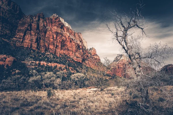 Raue Zionslandschaft — Stockfoto