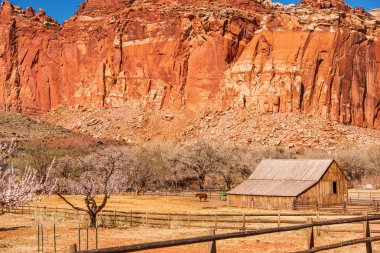 Capitol resif tarım arazisi