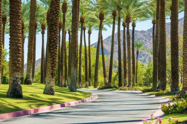 Palm Springs Road clipart