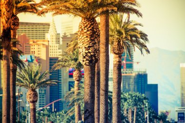Las vegas strip avuç içi