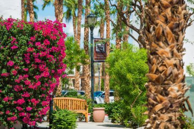 la Quinta, yaz ca