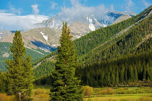 Escénico verano de Colorado — Foto de Stock