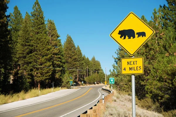 Reloj de oso Street Sign — Foto de Stock