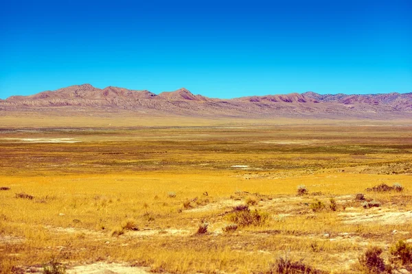 Lanskap Nevada Timur — Stok Foto