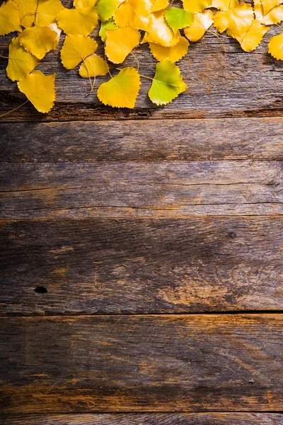 Fall Wooden Background — Stock Photo, Image