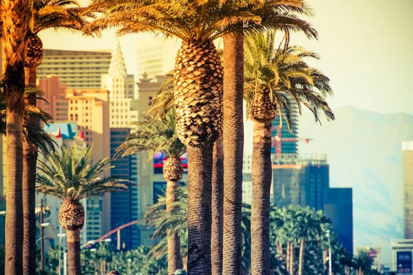 Las Vegas Strip Palms — Stock Photo, Image