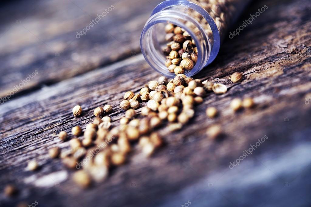 Dried Coriander Fruits — Stock Photo © 54771079