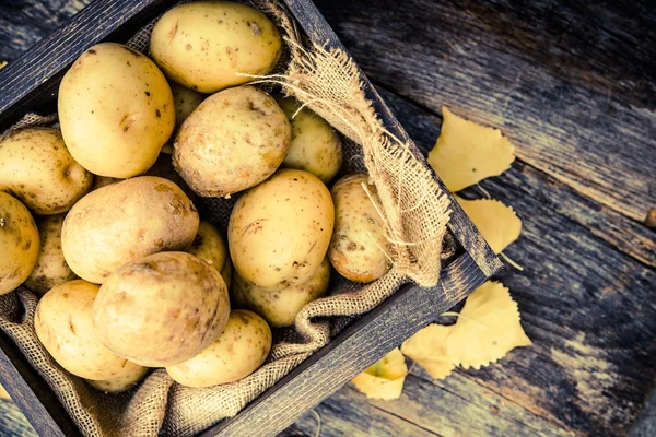 Rauwe biologische aardappelen — Stockfoto