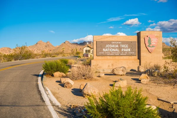 Joshua Tree Giriş işareti — Stok fotoğraf