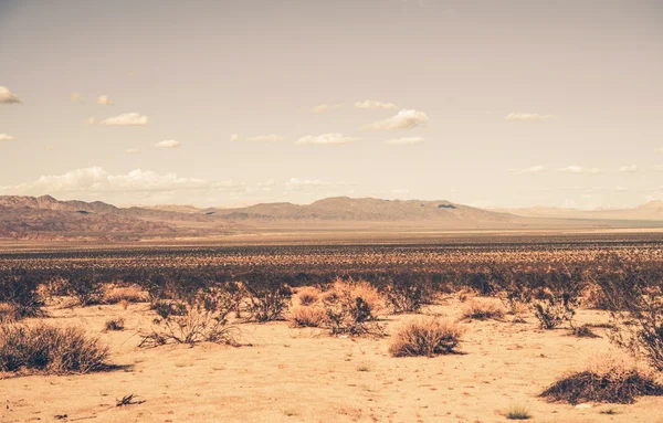 Νότιας Καλιφόρνιας έρημο — Φωτογραφία Αρχείου
