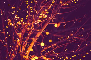 Holiday lights arka plan