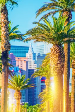 Las Vegas Strip sahne