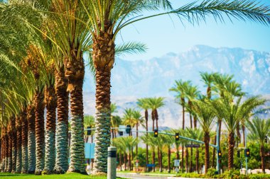 Avuç içi yol Coachella Valley