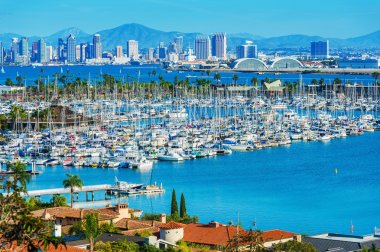 Panorama of San Diego clipart