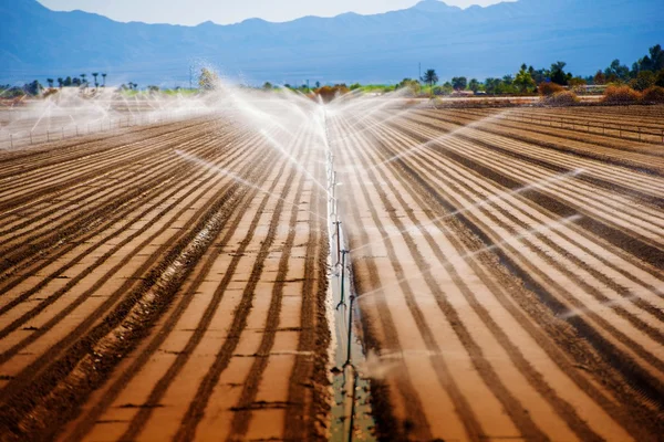 Agricultura da Califórnia — Fotografia de Stock