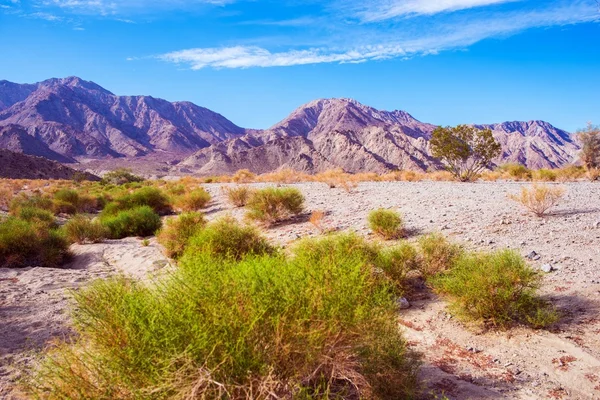 Californien ørken lander - Stock-foto