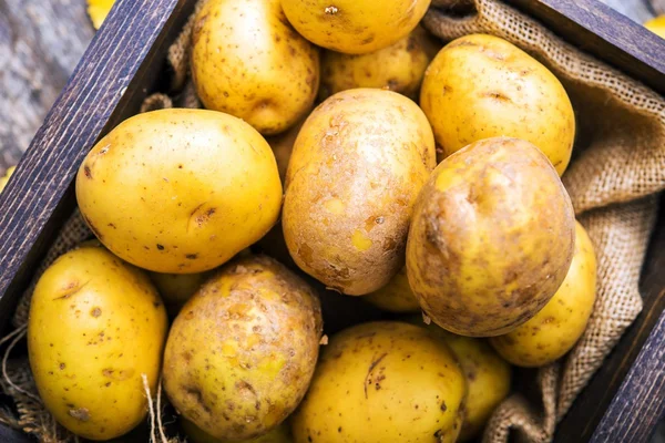 Idaho Patatas — Foto de Stock