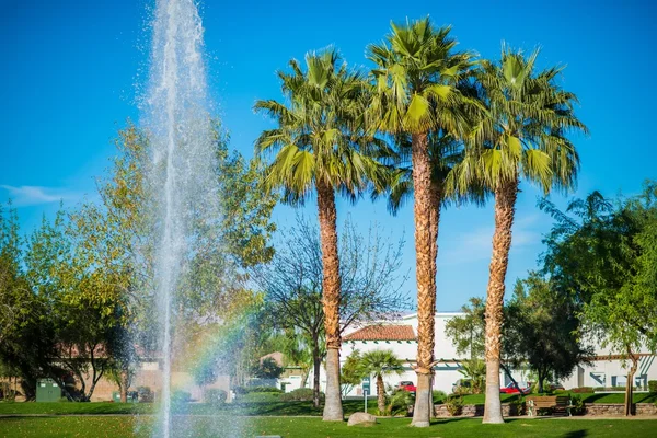 La Quinta Park Fountain — Stock Photo, Image