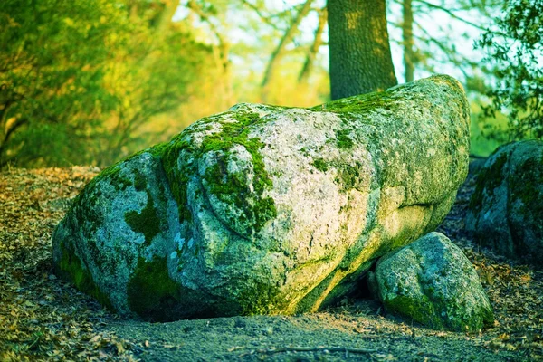 Magic Mossy Boulder — Stock Photo, Image