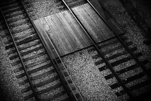 Railroad Tracks Closeup — Stock Photo, Image