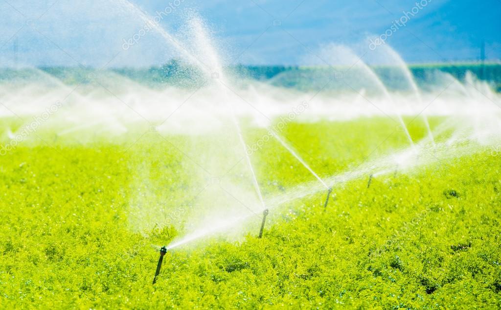 Farm Field Irrigation